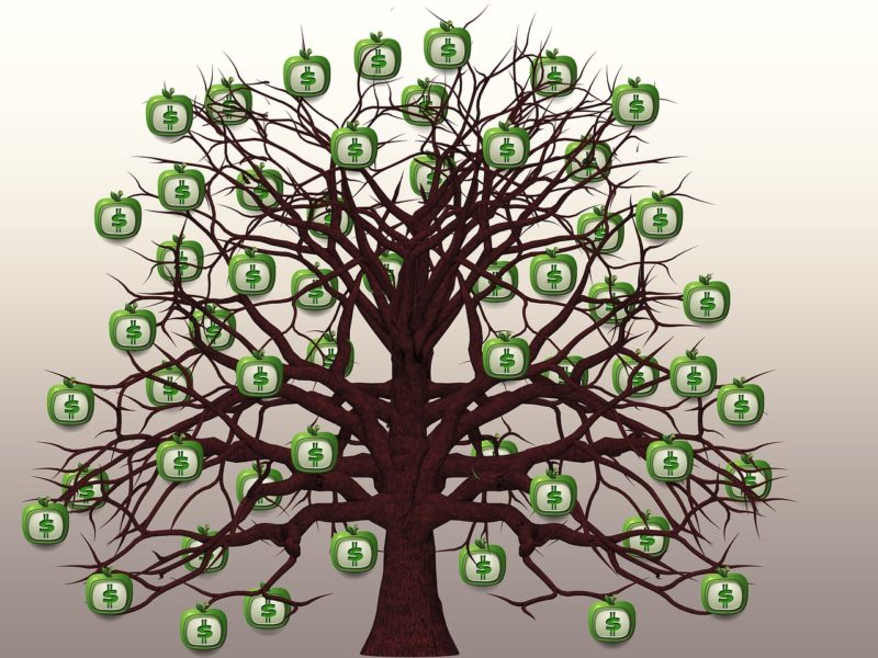 arbre montrant comment diversifier ses sources de revenus